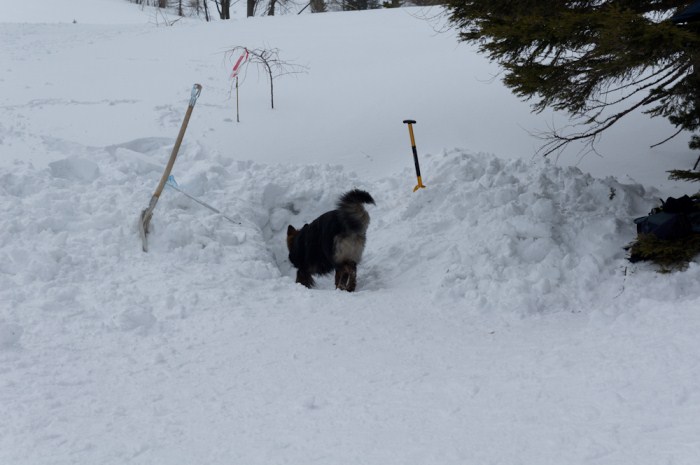 Lawinetraining (8).jpg